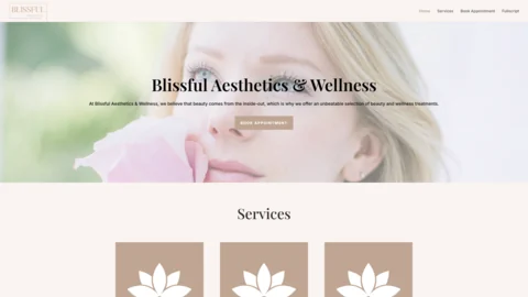 Original Blissful Aesthetics & Wellness website screenshot from YANO portfolio