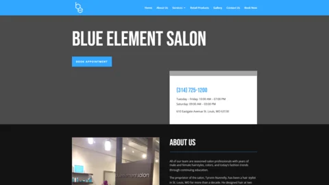 Original Blue Element Salon website screenshot from YANO portfolio