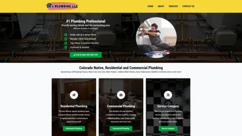 Original LD's Plumbing LLC website screenshot from YANO portfolio