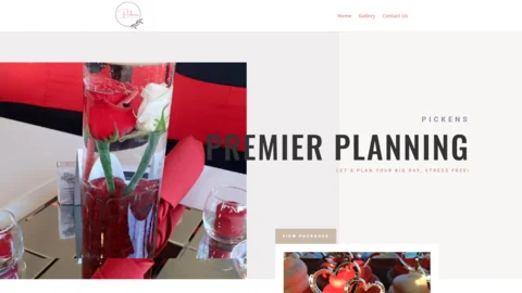 Original Pickens Premier Planning website screenshot from YANO portfolio